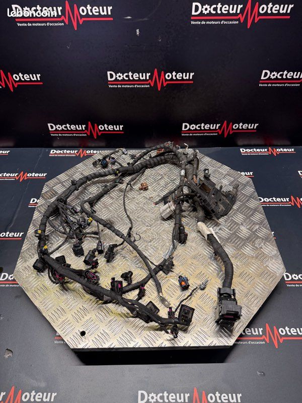 Faisceaux moteur Audi RSQ3 2022